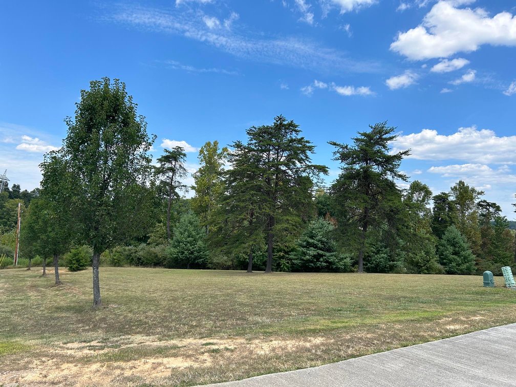 Image for SOLD $129,250 - Spacious Lots in Chrystal Estates Subdivision of Barboursville