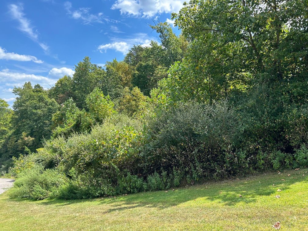 Image for SOLD $129,250 - Spacious Lots in Chrystal Estates Subdivision of Barboursville
