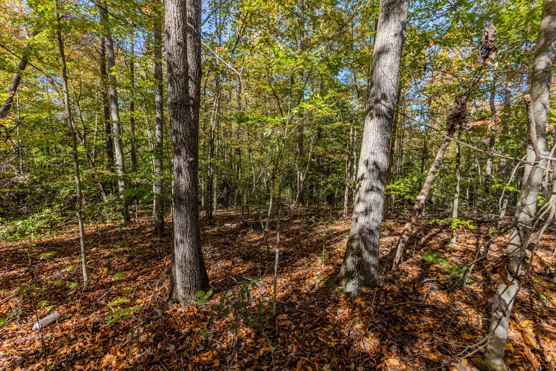 Image for SOLD $93,500 - 13 Acres Adjacent to the New River Gorge