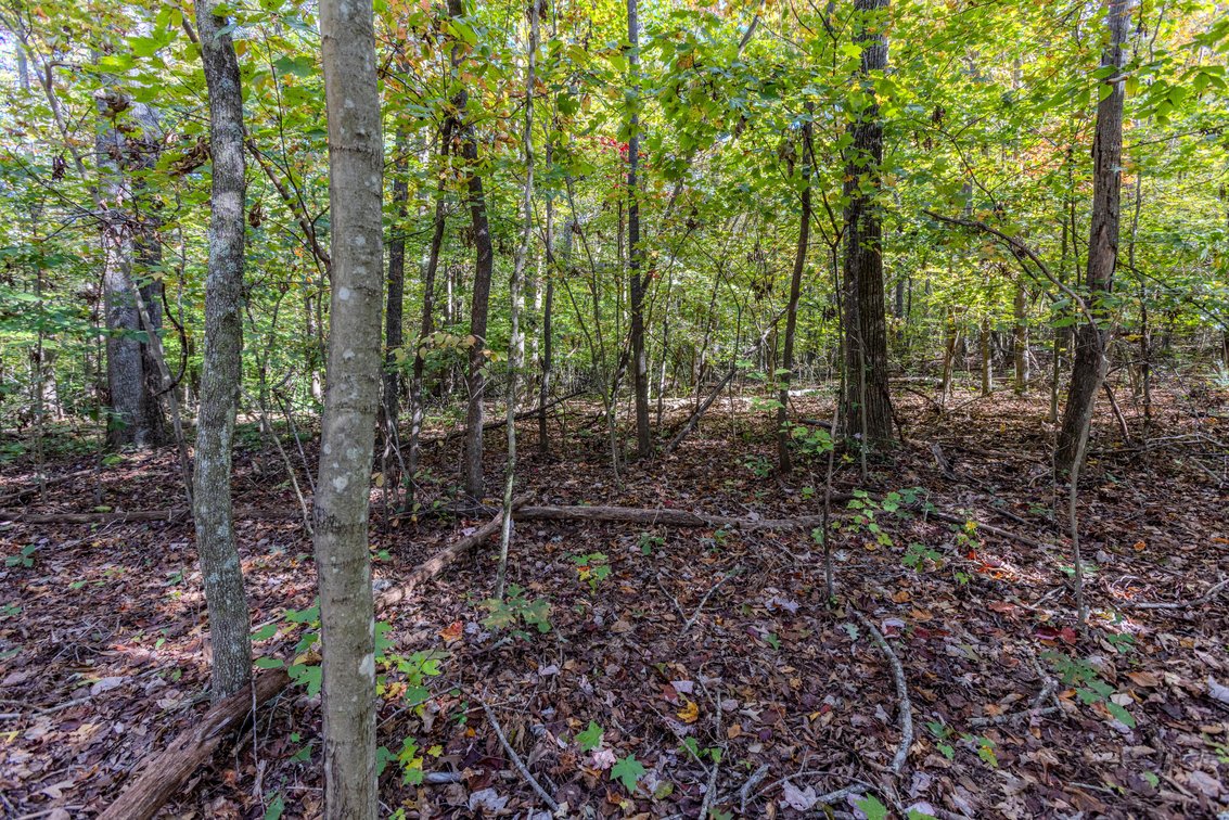 Image for SOLD $93,500 - 13 Acres Adjacent to the New River Gorge