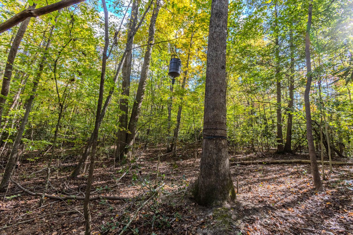 Image for SOLD $93,500 - 13 Acres Adjacent to the New River Gorge