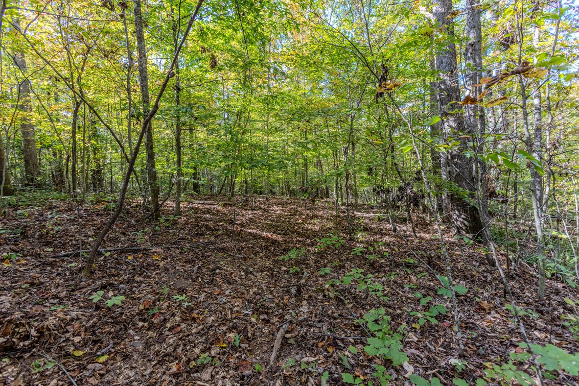 Image for SOLD $93,500 - 13 Acres Adjacent to the New River Gorge