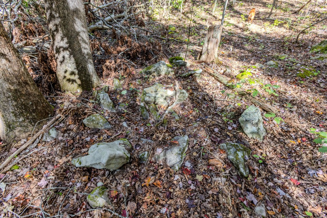 Image for SOLD $93,500 - 13 Acres Adjacent to the New River Gorge
