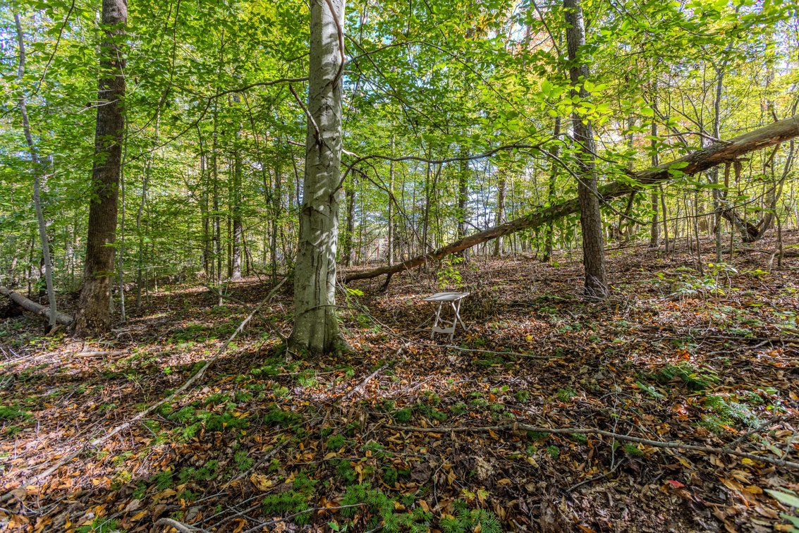 Image for SOLD $93,500 - 13 Acres Adjacent to the New River Gorge