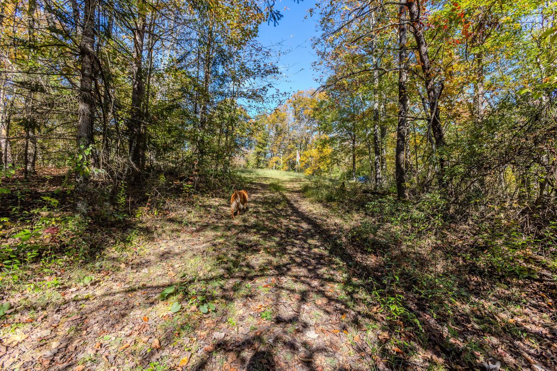 Image for SOLD $93,500 - 13 Acres Adjacent to the New River Gorge