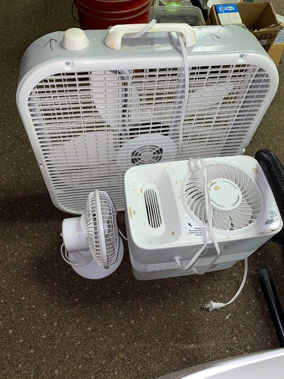 Several fans