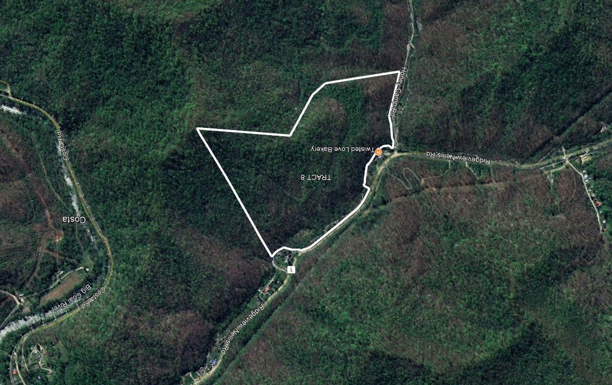 Image for SOLD $93,500 - 99 Surveyed Acres in Boone County Selling to the Highest Bidder