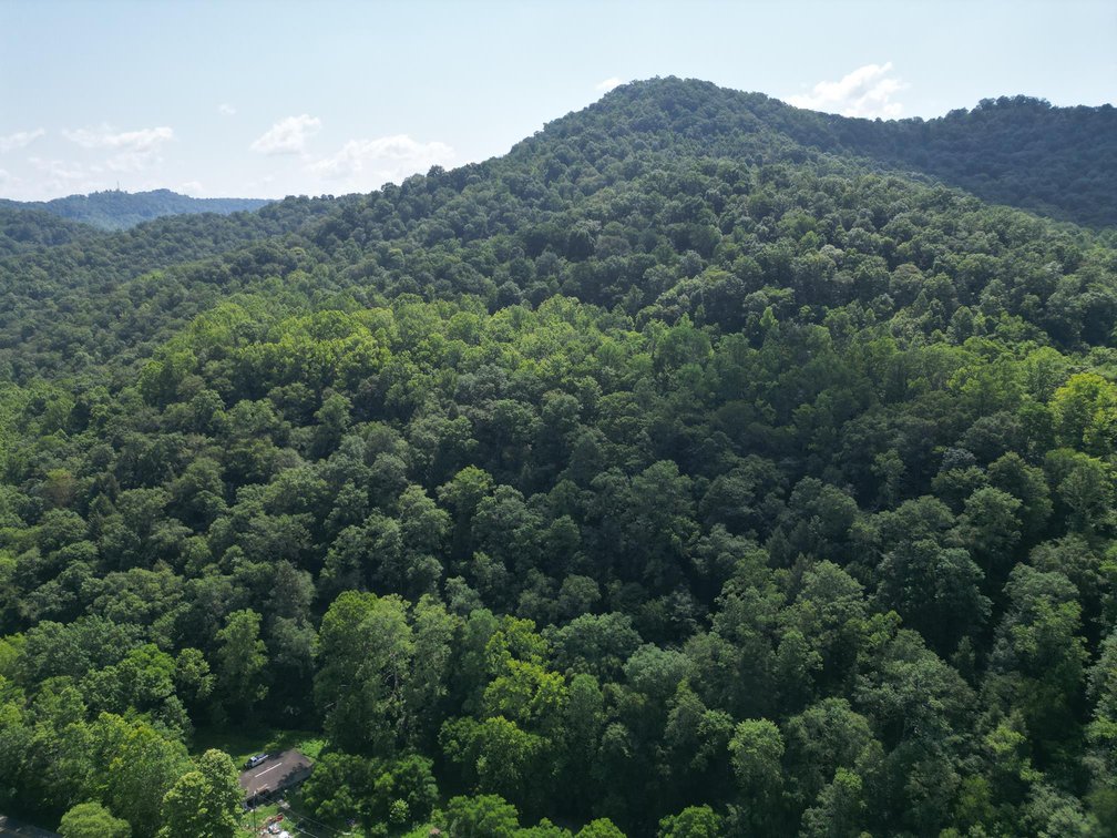 Image for SOLD $93,500 - 99 Surveyed Acres in Boone County Selling to the Highest Bidder