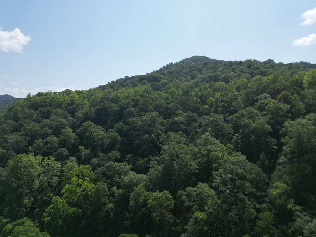 Image for SOLD $93,500 - 99 Surveyed Acres in Boone County Selling to the Highest Bidder