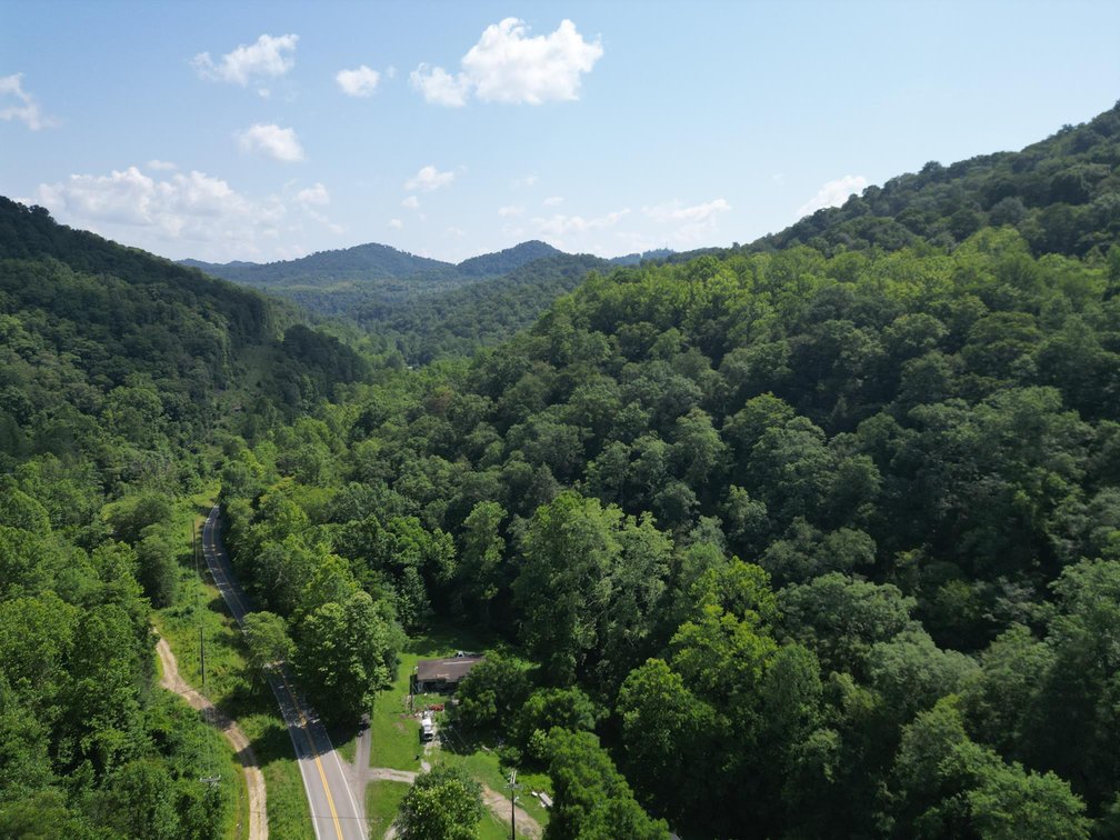 Image for SOLD $93,500 - 99 Surveyed Acres in Boone County Selling to the Highest Bidder