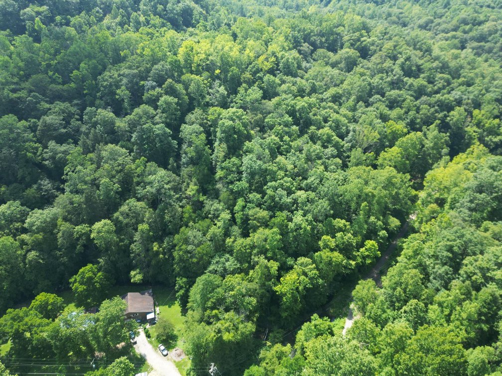Image for SOLD $93,500 - 99 Surveyed Acres in Boone County Selling to the Highest Bidder