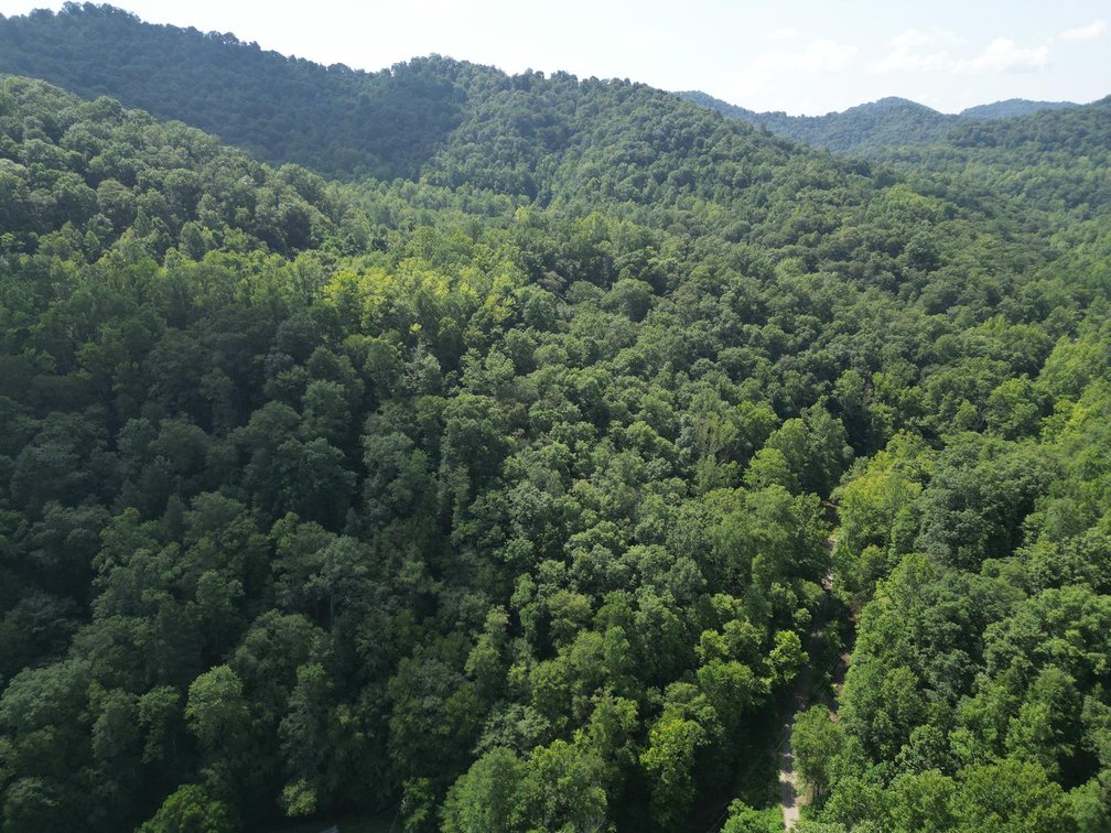 Image for SOLD $93,500 - 99 Surveyed Acres in Boone County Selling to the Highest Bidder