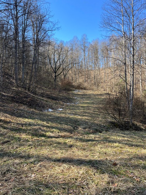 Image for SOLD $81,400 - 62 Acre Hunting Camp in Jackson Co. Selling to the Highest Bidder