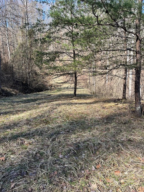 Image for SOLD $81,400 - 62 Acre Hunting Camp in Jackson Co. Selling to the Highest Bidder