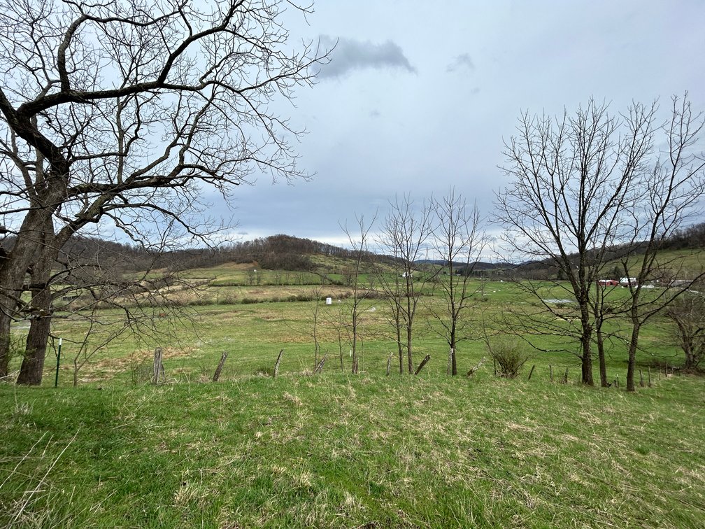 Image for SOLD $210,100 - 90 Acre Farm in Barbour County