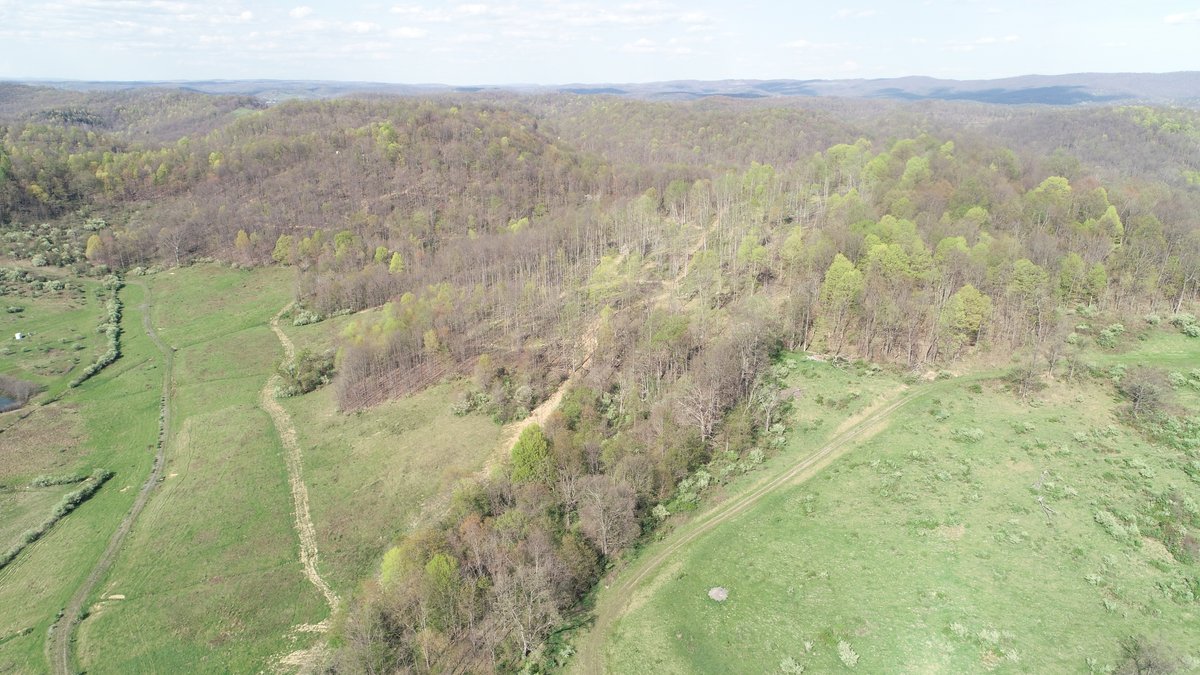 Image for SOLD $210,100 - 90 Acre Farm in Barbour County
