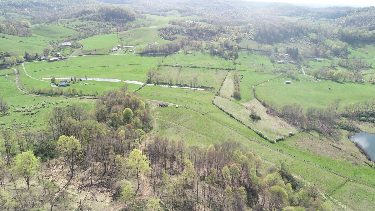 Image for SOLD $210,100 - 90 Acre Farm in Barbour County