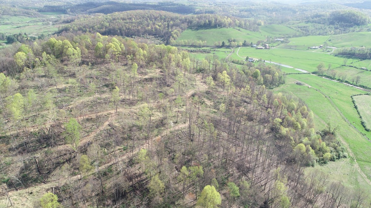 Image for SOLD $210,100 - 90 Acre Farm in Barbour County
