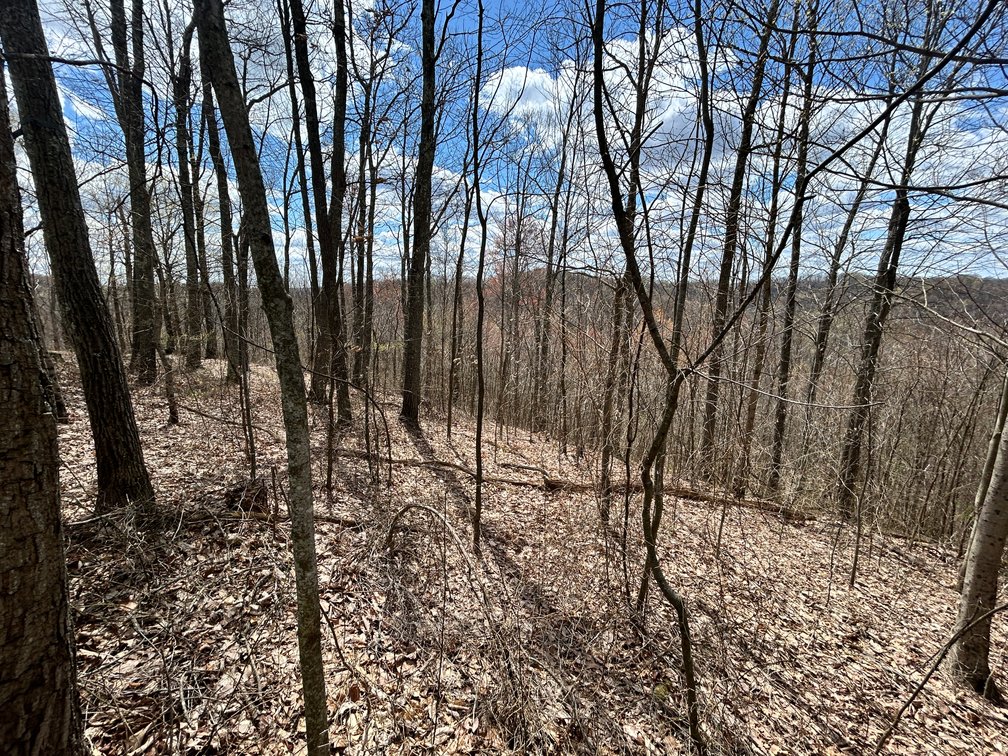 Image for SOLD $154,000 - Cabin on 32 Acres in Marion County