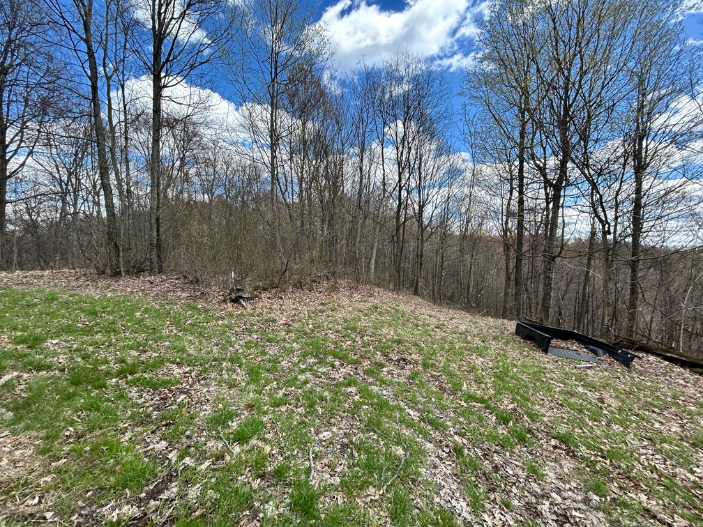 Image for SOLD $154,000 - Cabin on 32 Acres in Marion County