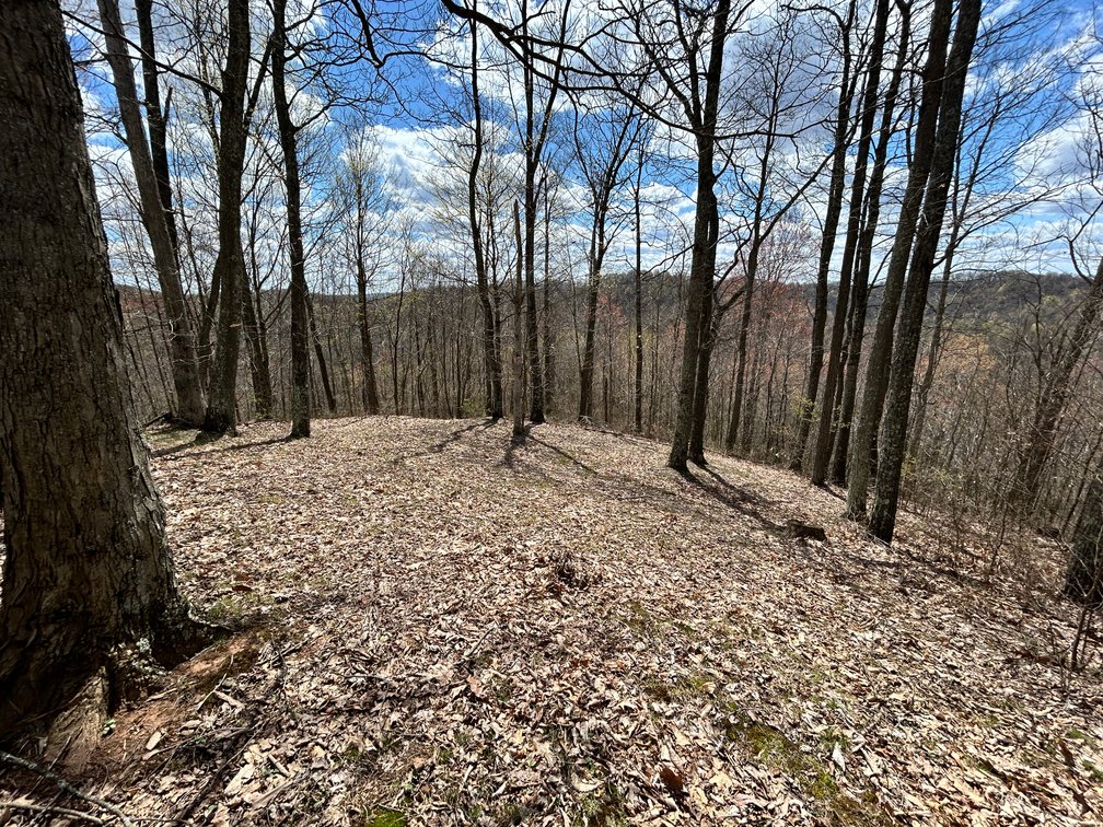 Image for SOLD $154,000 - Cabin on 32 Acres in Marion County