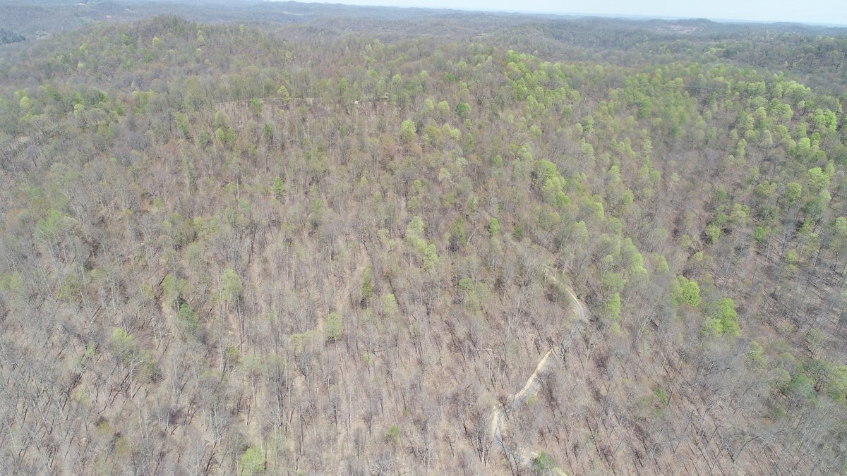 Image for SOLD $154,000 - Cabin on 32 Acres in Marion County