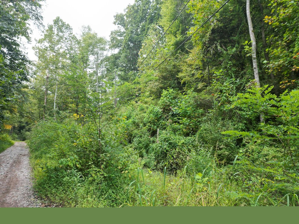 Image for SOLD $82,500 - 100 Recently Surveyed Acres in Boone County Selling to the Highest Bidder