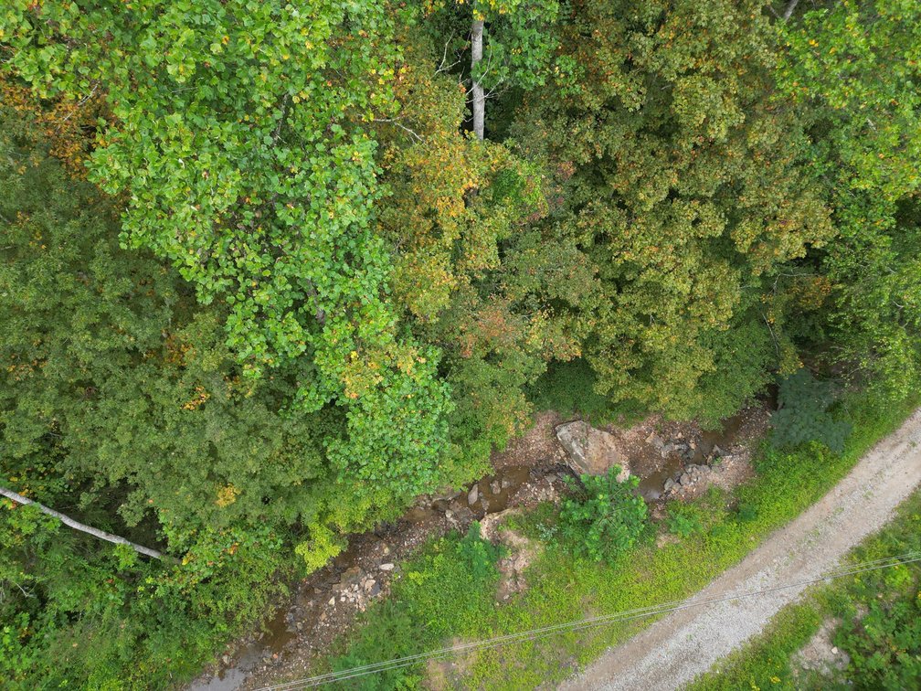 Image for SOLD $82,500 - 100 Recently Surveyed Acres in Boone County Selling to the Highest Bidder
