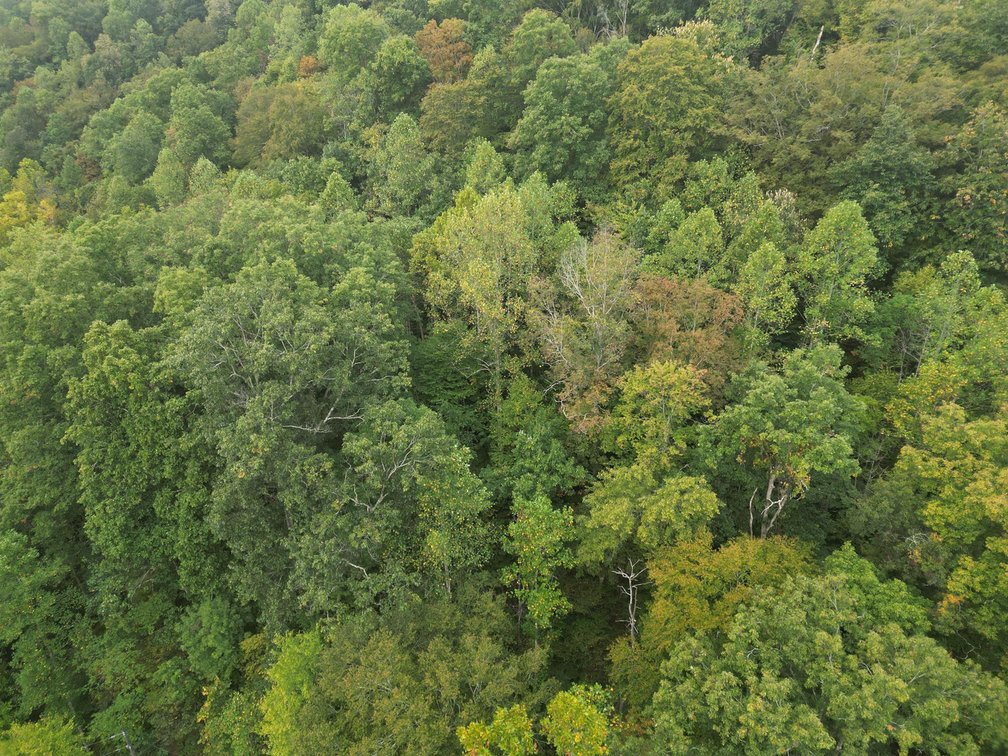 Image for SOLD $82,500 - 100 Recently Surveyed Acres in Boone County Selling to the Highest Bidder