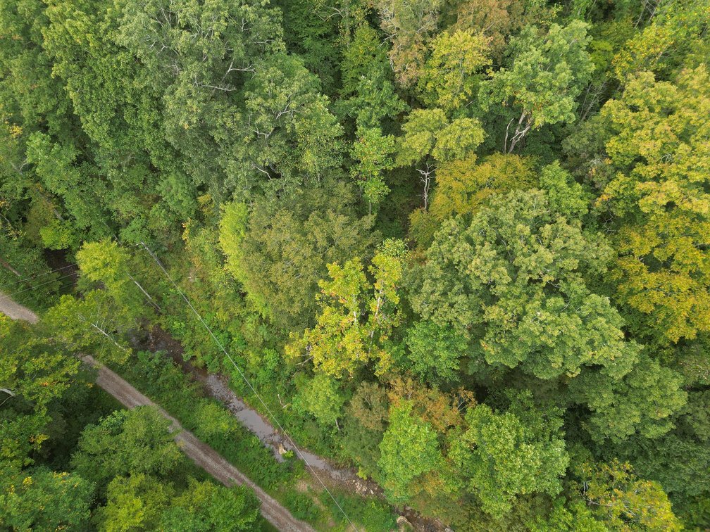 Image for SOLD $82,500 - 100 Recently Surveyed Acres in Boone County Selling to the Highest Bidder