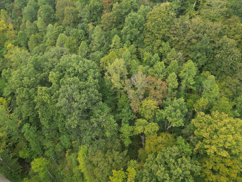 Image for SOLD $82,500 - 100 Recently Surveyed Acres in Boone County Selling to the Highest Bidder