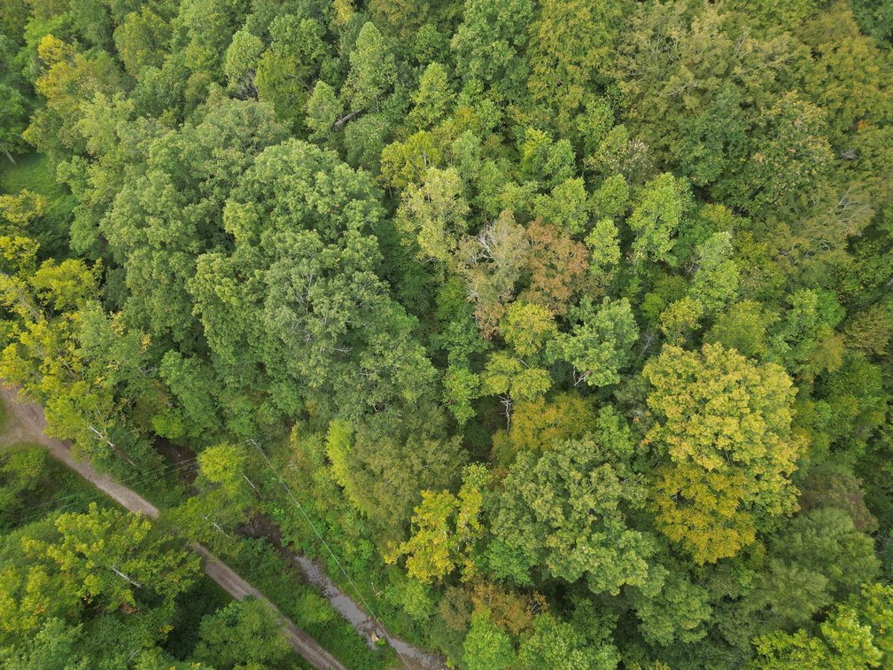 Image for SOLD $82,500 - 100 Recently Surveyed Acres in Boone County Selling to the Highest Bidder