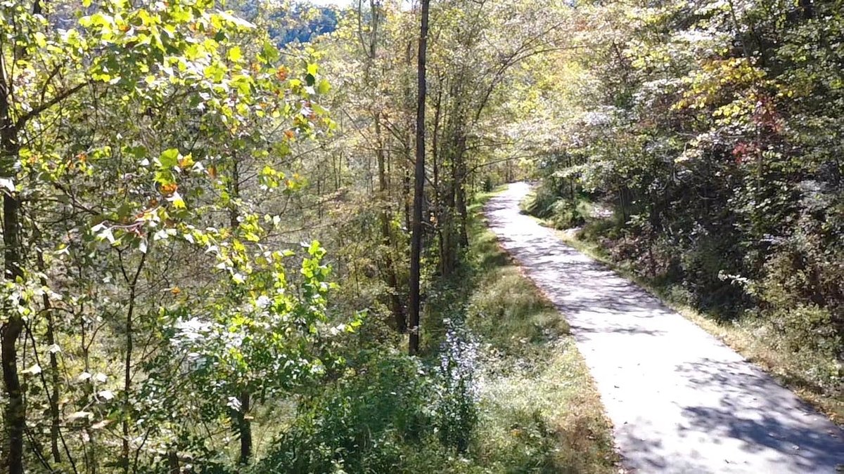 Image for SOLD $156,750 -  227 Acres of Prime Timber and Hunting Land in Mingo County Selling to the Highest Bidder