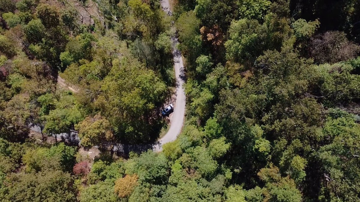 Image for SOLD $156,750 -  227 Acres of Prime Timber and Hunting Land in Mingo County Selling to the Highest Bidder