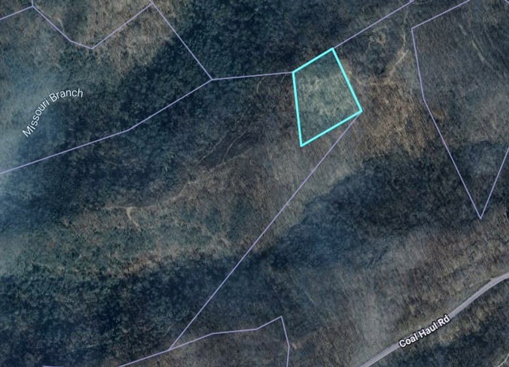 Image for SOLD - 8 Wayne County Properties Selling to the Highest Bidders