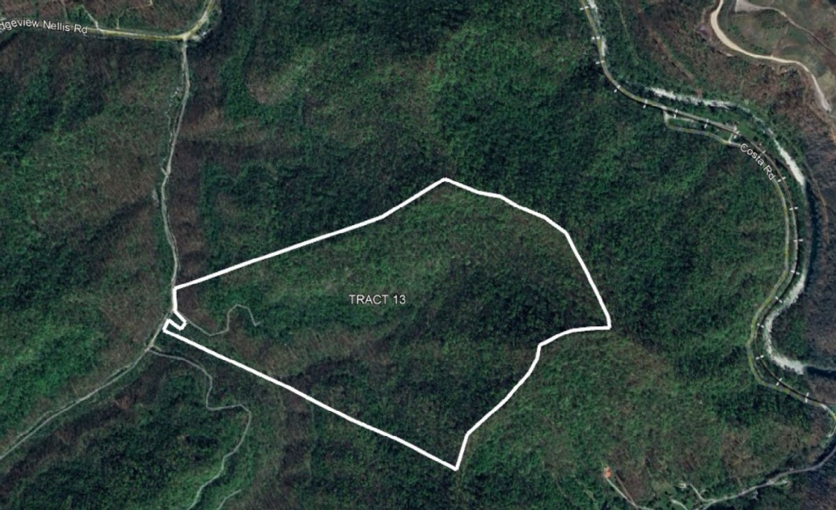 Image for SOLD $225,500 - 220 Recently Surveyed Acres in Boone County Selling to the Highest Bidder