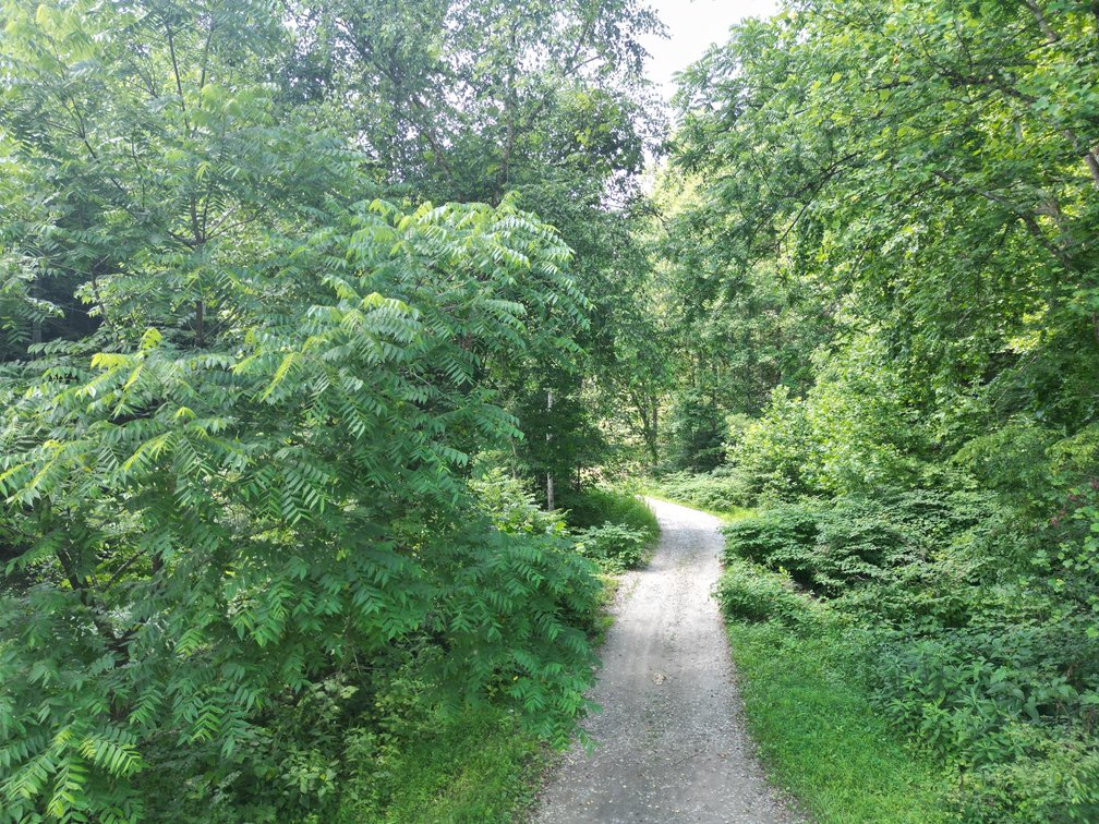 Image for SOLD $225,500 - 220 Recently Surveyed Acres in Boone County Selling to the Highest Bidder