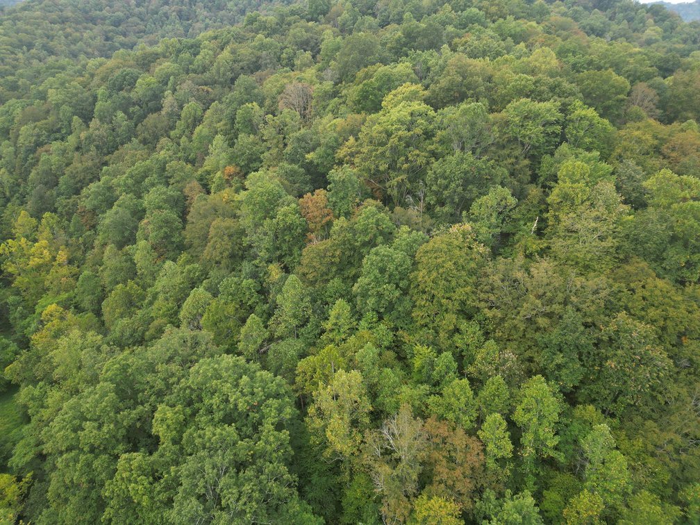Image for SOLD $225,500 - 220 Recently Surveyed Acres in Boone County Selling to the Highest Bidder