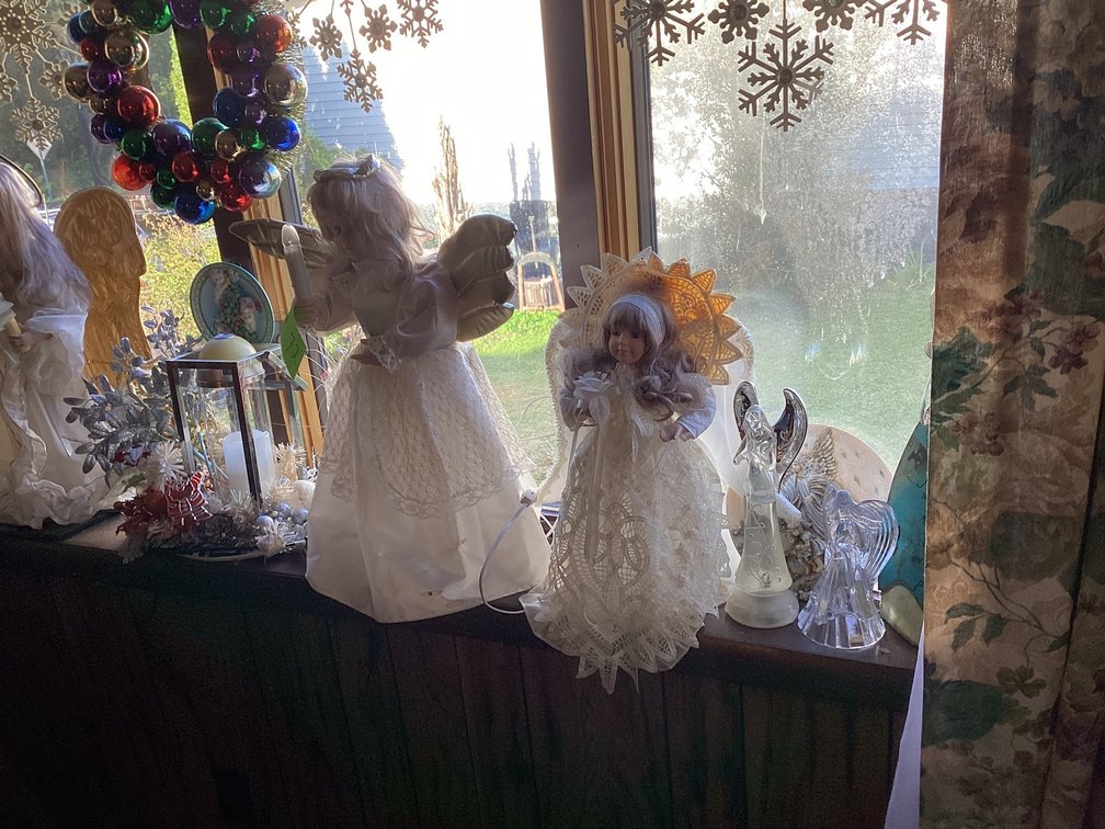 Contents in window