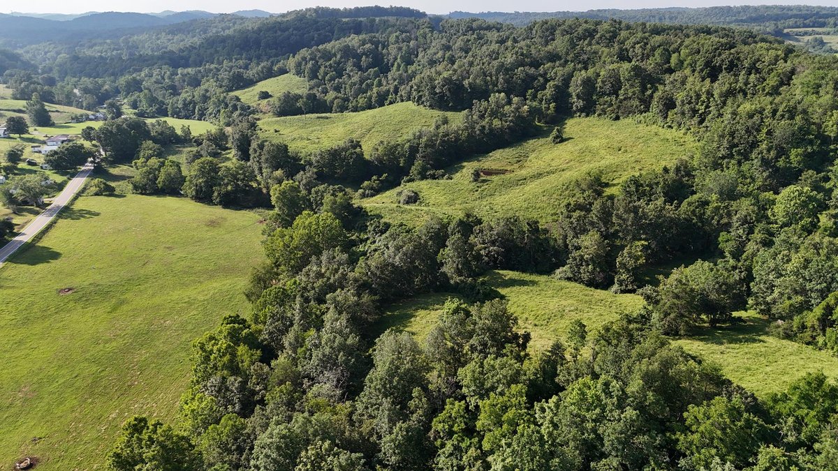 Image for SOLD $162,250 - Over 67 Acres along Charleston Road in Roane County