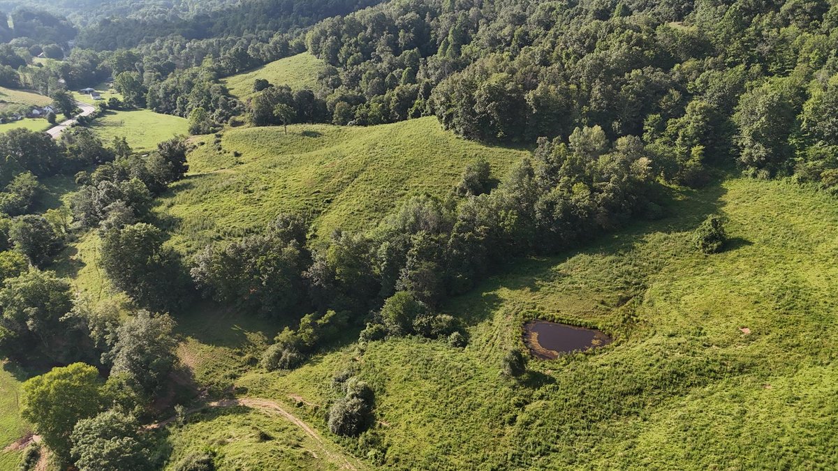 Image for SOLD $162,250 - Over 67 Acres along Charleston Road in Roane County