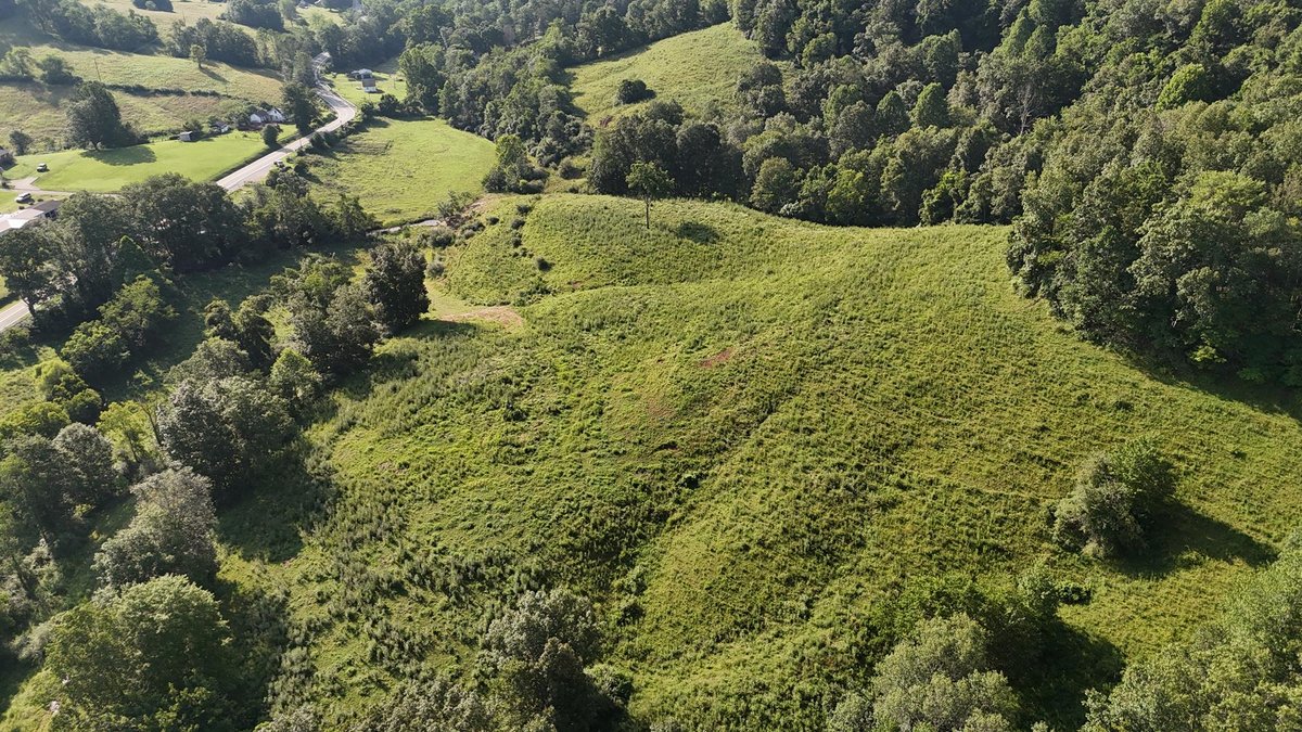 Image for SOLD $162,250 - Over 67 Acres along Charleston Road in Roane County