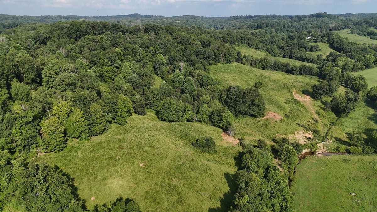 Image for SOLD $162,250 - Over 67 Acres along Charleston Road in Roane County