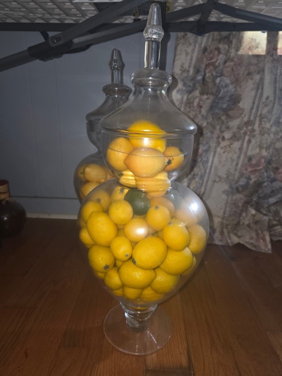 Glass Vases with Lemons