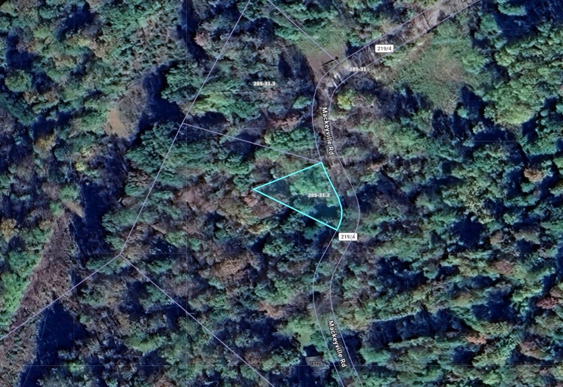Subject #16: 0.25 +/- Acres on Mackeyville Rd Hambleton, WV