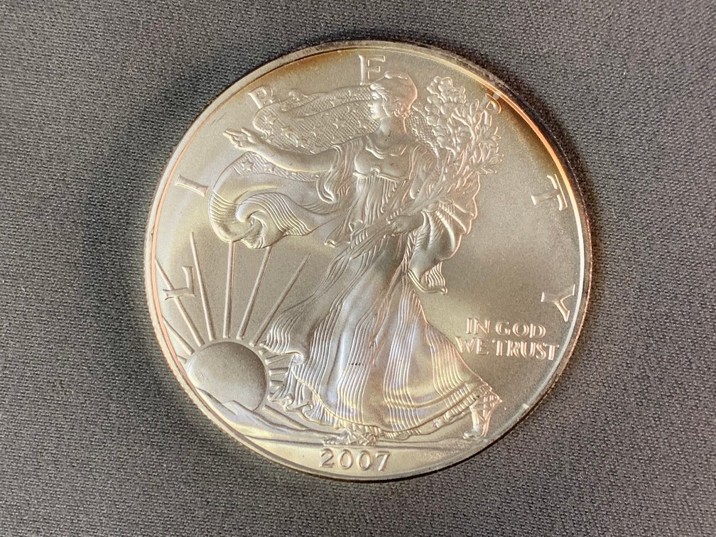 2007 American Silver Eagle
