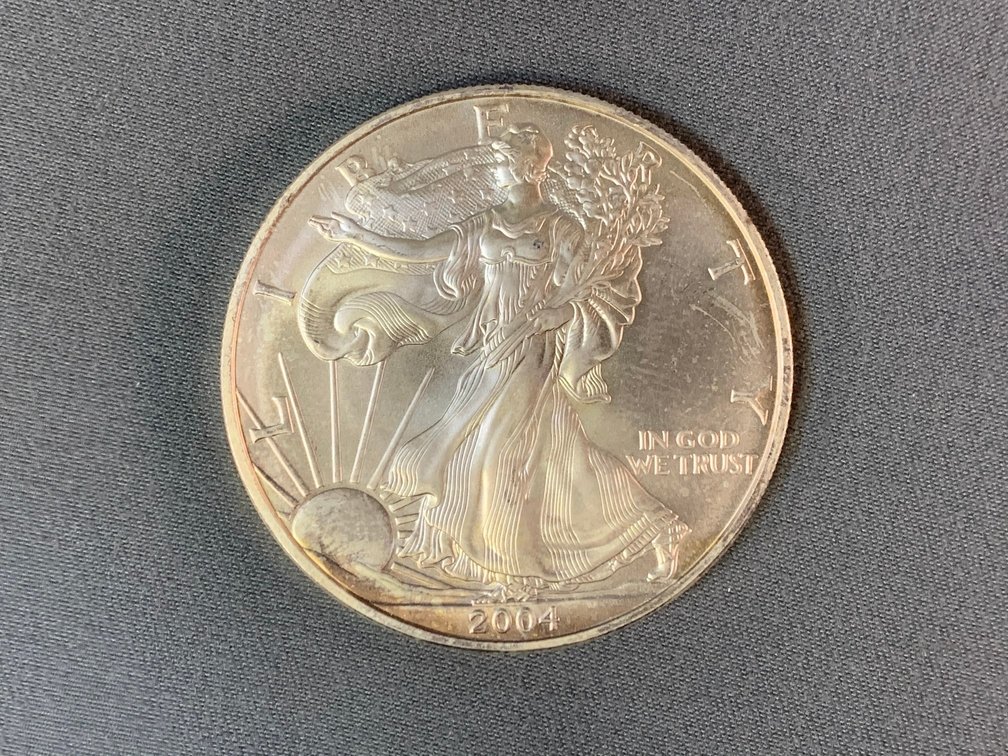 2004 American Silver Eagle