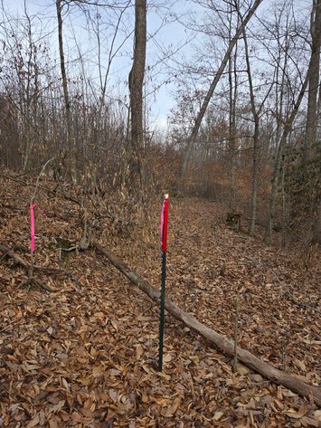 Image for SOLD $58,300 - 5 Surveyed Acres in Fayette County