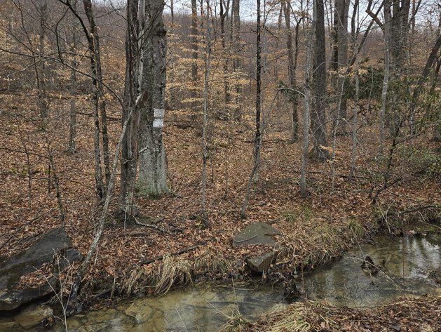 Image for SOLD $58,300 - 5 Surveyed Acres in Fayette County