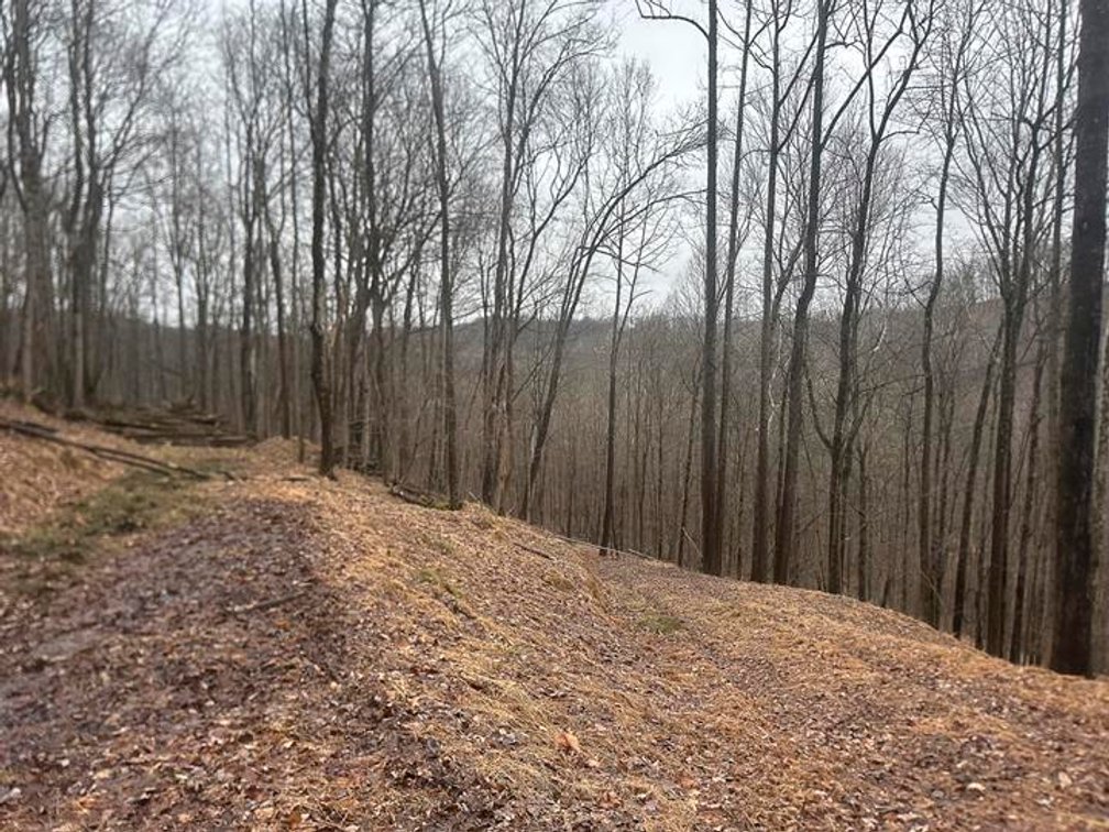 Image for 9 ½ Acres off Grafton Road in Morgantown